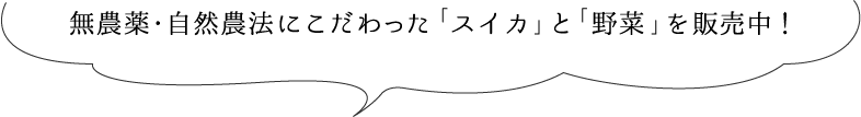 無農薬・自然農法にこだわった「スイカ」と「野菜」を販売中！