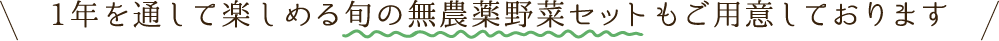 1年を通して楽しめる旬の無農薬野菜セットもご用意しております